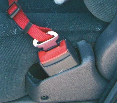 KERBL Sangle Et Harnais De Transport, 30-60 Cm 2 KERBL Sangle Et Harnais De Transport, 30-60 Cm – Image 2