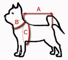 KERBL Sangle Et Harnais De Transport, 30-60 Cm 3 KERBL Sangle Et Harnais De Transport, 30-60 Cm – Image 3