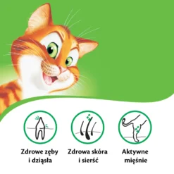KITEKAT - Nourriture Sèche Pour Chats Avec Poisson Et Aux Légumes 12kg +Surprise Gratuit Pour Chat 10 KITEKAT - Nourriture Sèche Pour Chats Avec Poisson Et Aux Légumes 12kg +Surprise Gratuit Pour Chat -Zooart Elegant Boutique fre pl KITEKAT nourriture seche pour chats avec poisson et aux legumes 12kg Surprise gratuit pour chat 27800 5