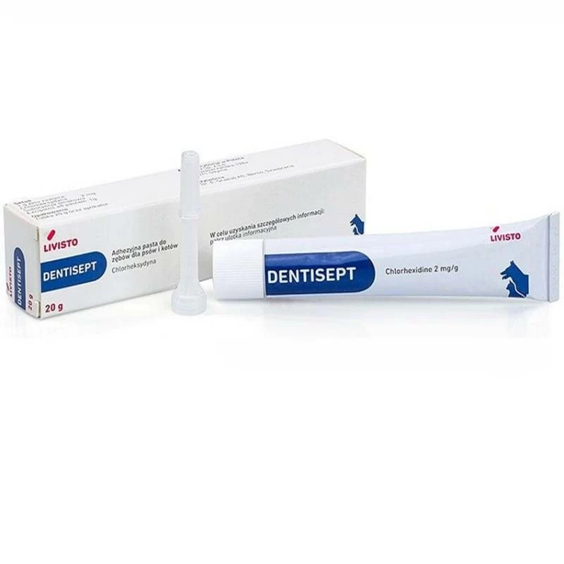 LIVISTO DENTISEPT Dentifrice Adhésif Pour Chiens Et Chats 20g 1 LIVISTO DENTISEPT Dentifrice Adhésif Pour Chiens Et Chats 20g