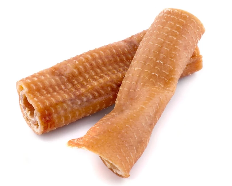 MACED Peau De Porc Taille - S 2 MACED Peau De Porc Taille - S – Image 2