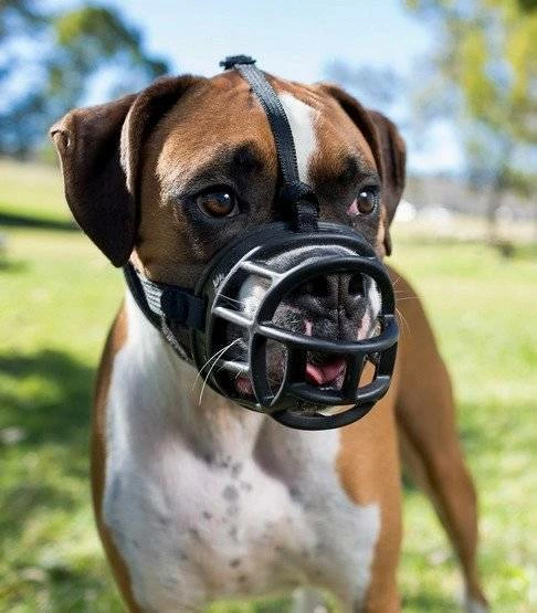 Muselière Baskerville Ultra 2 NOIR 2 Muselière Baskerville Ultra 2 NOIR – Image 2