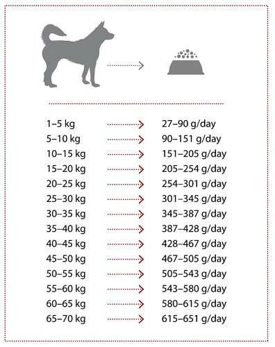 NATURES PROTECTION Extra Salmon 12kg 3 NATURES PROTECTION Extra Salmon 12kg – Image 3