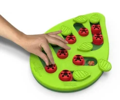 Nina Ottosson Cat Buggin' Out Puzzle & Play - Un Jeu éducatif Pour Les Chats 5 Nina Ottosson Cat Buggin' Out Puzzle & Play - Un Jeu éducatif Pour Les Chats -Zooart Elegant Boutique fre pl Nina Ottosson Cat Buggin Out Puzzle Play un jeu educatif pour les chats 25962 3