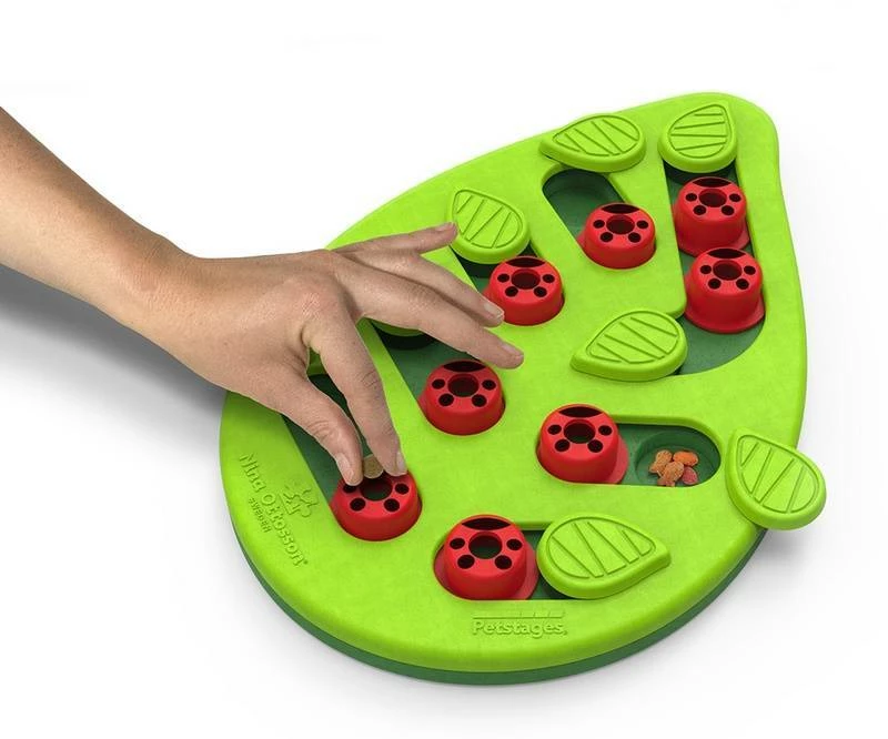 Nina Ottosson Cat Buggin' Out Puzzle & Play - Un Jeu éducatif Pour Les Chats 3 Nina Ottosson Cat Buggin' Out Puzzle & Play - Un Jeu éducatif Pour Les Chats – Image 3