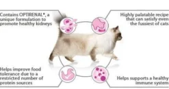 PURINA PRO PLAN PRO PLAN Delicate Digestion Aliments Pour Chats Riches En Dinde 10kg 5 PURINA PRO PLAN PRO PLAN Delicate Digestion Aliments Pour Chats Riches En Dinde 10kg -Zooart Elegant Boutique fre pl PRO PLAN Delicate Digestion aliments pour chats riches en dinde 10kg 15125 2