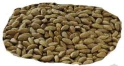 PURINA PRO PLAN PRO PLAN Sensitive Skin Croquettes Pour Chien Adulte Medium & Large Riches En Saumon 14kg + Surprise Gratuite Pour Chien 9 PURINA PRO PLAN PRO PLAN Sensitive Skin Croquettes Pour Chien Adulte Medium & Large Riches En Saumon 14kg + Surprise Gratuite Pour Chien -Zooart Elegant Boutique fre pl PRO PLAN Sensitive Skin Croquettes pour chien adulte Medium Large riches en saumon 14kg Surprise Gratuite pour Chien 26978 3