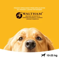 Pedigree Croquettes Pour Chiens Adultes De Race Moyenne Avec Boeuf Et Volaille 15kg -Zooart Elegant Boutique fre pl Pedigree Croquettes pour chiens adultes de race moyenne avec boeuf et volaille 15kg 14100 4