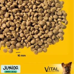 Pedigree Nourriture Sèche Pour Chiots De Grandes Races Et De Races Géantes Avec Poulet Et Riz 15kg -Zooart Elegant Boutique fre pl Pedigree nourriture seche pour chiots de grandes races et de races geantes avec poulet et riz 15kg 15756 2