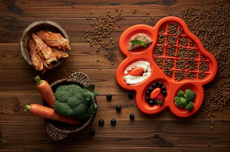 Pet Dream House Bol D'alimentation Lente Orange Easy 2 Pet Dream House Bol D'alimentation Lente Orange Easy – Image 2