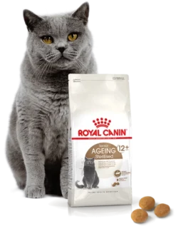 ROYAL CANIN Ageing Sterilised +12 2kg -Zooart Elegant Boutique fre pl ROYAL CANIN Ageing Sterilised 12 2kg 16900 4