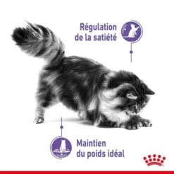 ROYAL CANIN Appetite Control Care 400g X2 -Zooart Elegant Boutique fre pl ROYAL CANIN Appetite Control Care 400g x2 30741 3