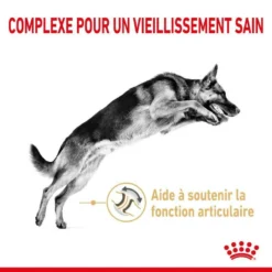 ROYAL CANIN Berger Allemand Adult 5+ 3kg -Zooart Elegant Boutique fre pl ROYAL CANIN Berger Allemand Adult 5 3kg 12524 6