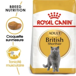 ROYAL CANIN British Shorthair Adult 10kg