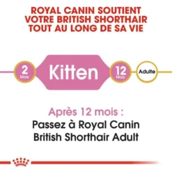 ROYAL CANIN British Shorthair Kitten 10kg -Zooart Elegant Boutique fre pl ROYAL CANIN British Shorthair Kitten 10kg 16887 3