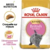 ROYAL CANIN British Shorthair Kitten 400g X2