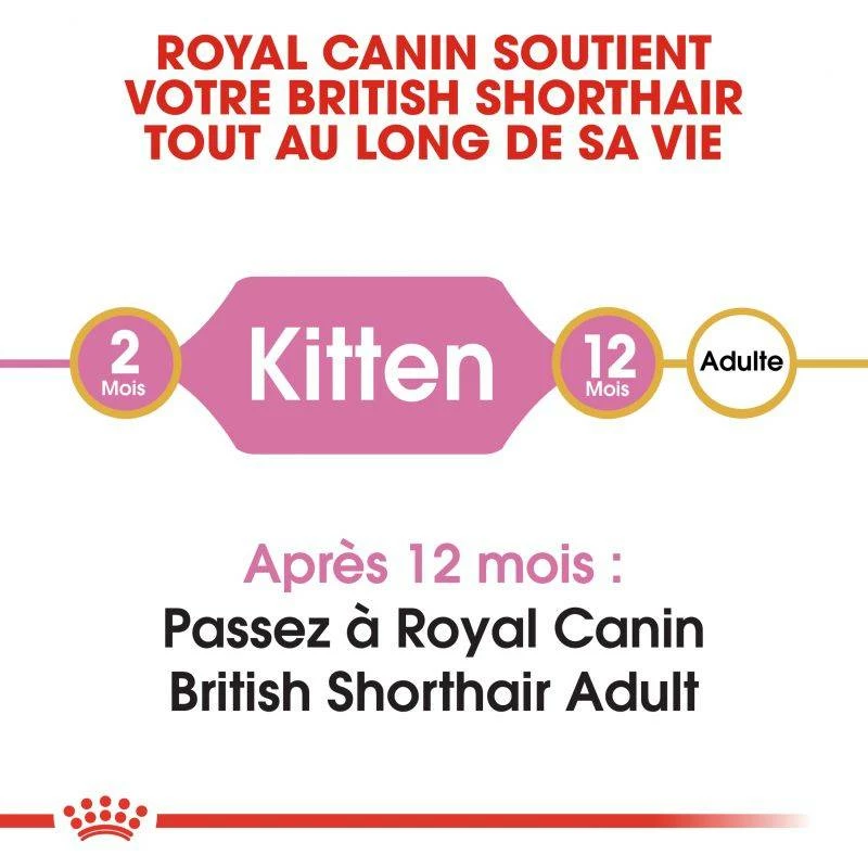 ROYAL CANIN British Shorthair Kitten 400g X2 6 ROYAL CANIN British Shorthair Kitten 400g X2 – Image 6