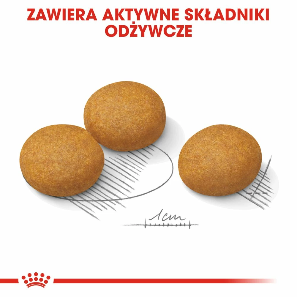ROYAL CANIN CCN Maxi Dermacomfort 12kg Croquettes Pour Chiens Adultes, Grandes Races, à La Peau Sensible Et Sujette Aux Irritations. 5 ROYAL CANIN CCN Maxi Dermacomfort 12kg Croquettes Pour Chiens Adultes, Grandes Races, à La Peau Sensible Et Sujette Aux Irritations. – Image 5
