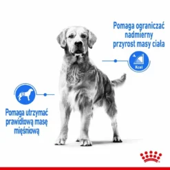 ROYAL CANIN CCN Maxi Light Weight Care 2 X 12kg 9 ROYAL CANIN CCN Maxi Light Weight Care 2 X 12kg -Zooart Elegant Boutique fre pl ROYAL CANIN CCN Maxi Light Weight Care 2 x 12kg 25890 4