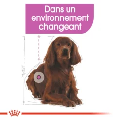 ROYAL CANIN CCN Medium Relax Care 1kg -Zooart Elegant Boutique fre pl ROYAL CANIN CCN Medium Relax Care 1kg 16278 5