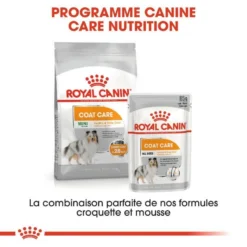 ROYAL CANIN CCN Mini Coat Care 3kg -Zooart Elegant Boutique fre pl ROYAL CANIN CCN Mini Coat Care 3kg 16282 9