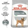 ROYAL CANIN CCN Mini Dental Care 8kg