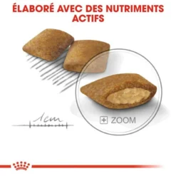 ROYAL CANIN CCN Mini Exigent 3kg X2 -Zooart Elegant Boutique fre pl ROYAL CANIN CCN Mini Exigent 3kg x2 30720 5