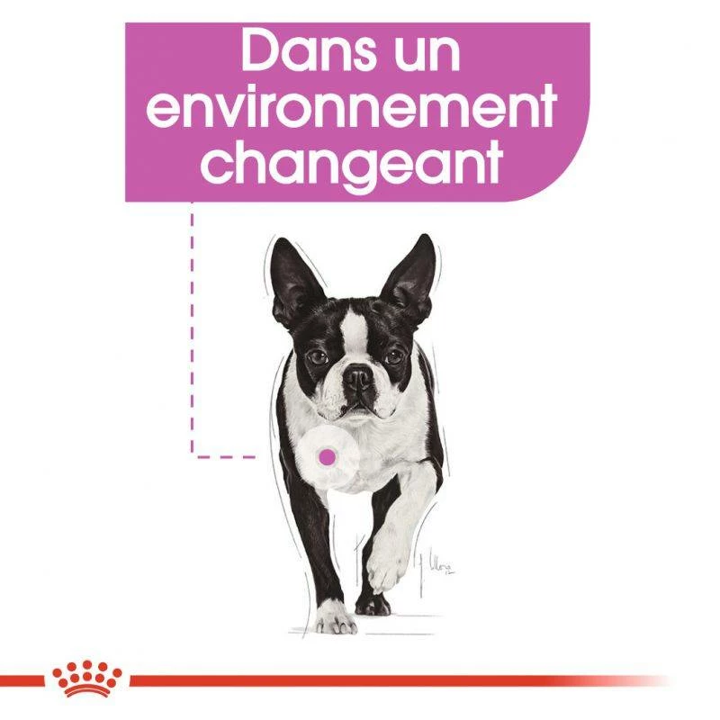 ROYAL CANIN CCN Mini Relax Care 3kg 5 ROYAL CANIN CCN Mini Relax Care 3kg – Image 5