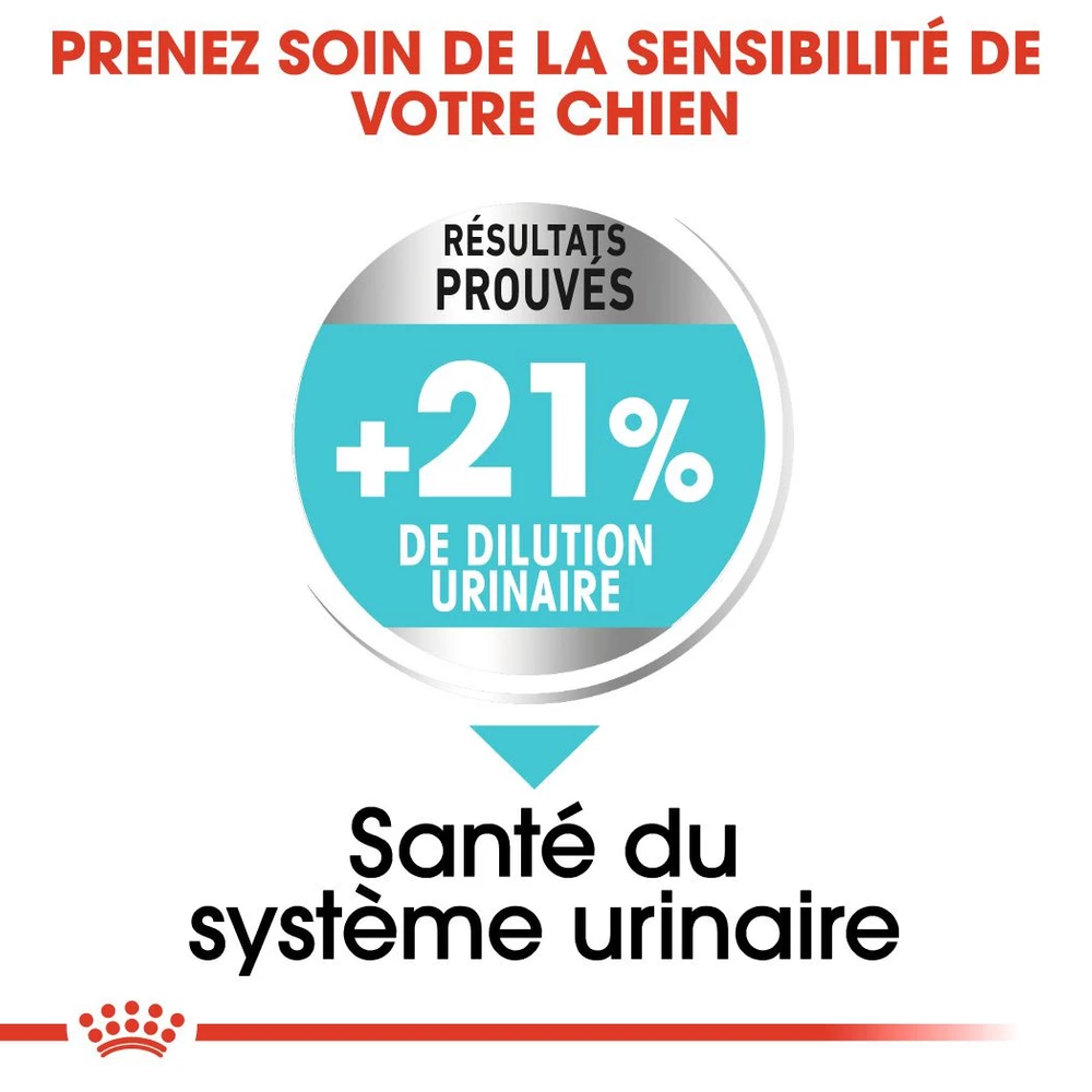 ROYAL CANIN CCN Mini Urinary Care 1kg + OVER ZOO Délicatesse 100g GRATUIT 2 ROYAL CANIN CCN Mini Urinary Care 1kg + OVER ZOO Délicatesse 100g GRATUIT – Image 2