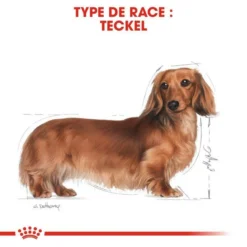 ROYAL CANIN Dachshund Adult 1,5kg 10 ROYAL CANIN Dachshund Adult 1,5kg -Zooart Elegant Boutique fre pl ROYAL CANIN Dachshund Adult 1 5kg 15974 6