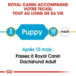 ROYAL CANIN Dachshund Puppy 1,5kg 10 ROYAL CANIN Dachshund Puppy 1,5kg -Zooart Elegant Boutique fre pl ROYAL CANIN Dachshund Puppy 1 5kg 15331 2