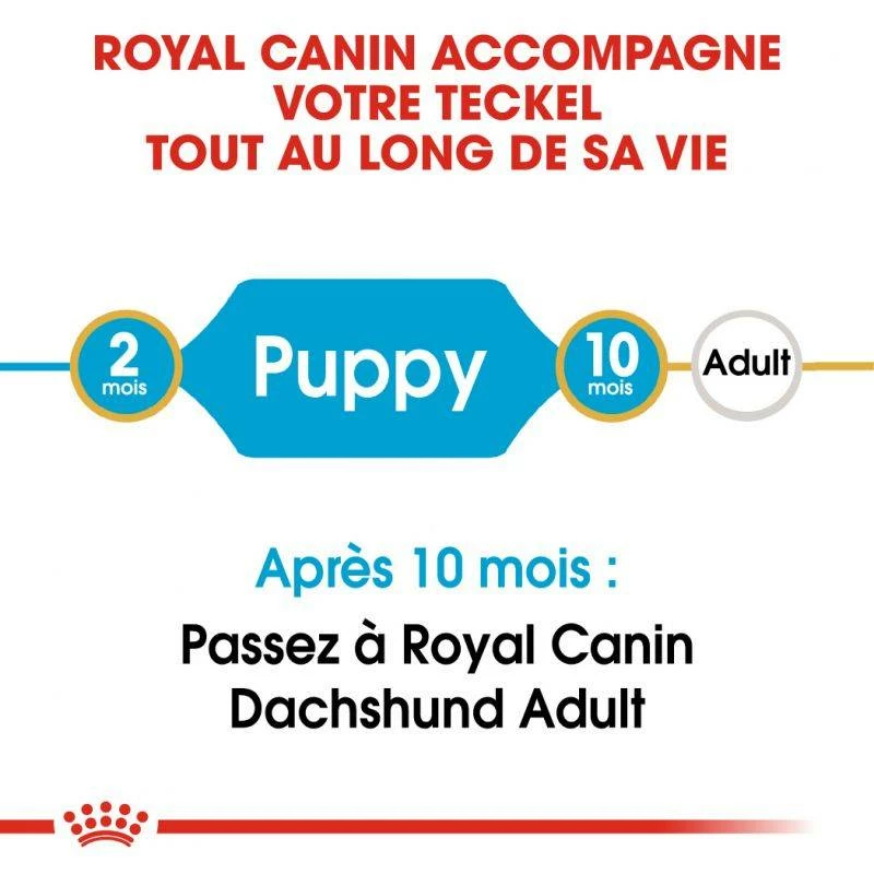 ROYAL CANIN Dachshund Puppy 1,5kg 5 ROYAL CANIN Dachshund Puppy 1,5kg – Image 5