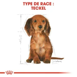 ROYAL CANIN Dachshund Puppy 1,5kg 8 ROYAL CANIN Dachshund Puppy 1,5kg -Zooart Elegant Boutique fre pl ROYAL CANIN Dachshund Puppy 1 5kg 15331 7
