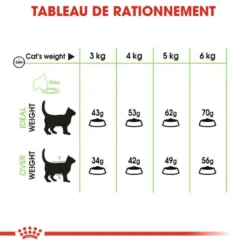 ROYAL CANIN Digestive Care 2kg 11 ROYAL CANIN Digestive Care 2kg -Zooart Elegant Boutique fre pl ROYAL CANIN Digestive Care 2kg 15818 5
