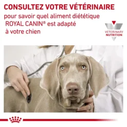 ROYAL CANIN Early Renal 7kg 9 ROYAL CANIN Early Renal 7kg -Zooart Elegant Boutique fre pl ROYAL CANIN Early Renal 7kg 12976 3