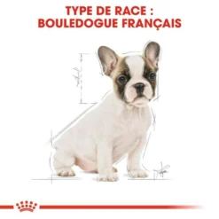 ROYAL CANIN French Bulldog Puppy 10kg 11 ROYAL CANIN French Bulldog Puppy 10kg -Zooart Elegant Boutique fre pl ROYAL CANIN French Bulldog Puppy 10kg 15978 6