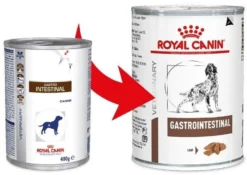 ROYAL CANIN Gastrointestinal 6x 400g -Zooart Elegant Boutique fre pl ROYAL CANIN Gastrointestinal 6x 400g 25263 1