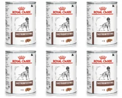 ROYAL CANIN Gastrointestinal 6x 400g