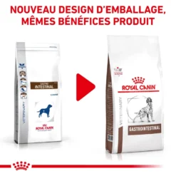 Zooart Elegant Boutique -Zooart Elegant Boutique fre pl ROYAL CANIN Gastrointestinal Dog 7 5kg 15999 3