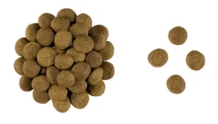 ROYAL CANIN Gastrointestinal High Fibre 2kg 5 ROYAL CANIN Gastrointestinal High Fibre 2kg -Zooart Elegant Boutique fre pl ROYAL CANIN Gastrointestinal High Fibre 2kg 9825 3