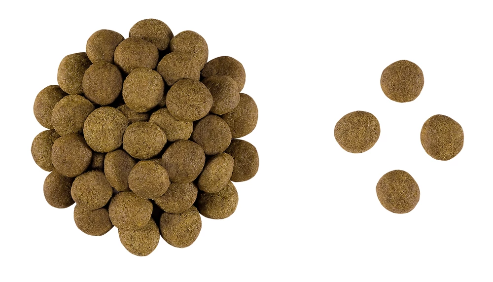 ROYAL CANIN Gastrointestinal High Fibre 2kg 3 ROYAL CANIN Gastrointestinal High Fibre 2kg – Image 3