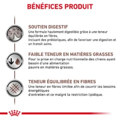 ROYAL CANIN Gastrointestinal Low Fat 6kg + Surprise Pour Votre Chien GRATUITES ! -Zooart Elegant Boutique fre pl ROYAL CANIN Gastrointestinal Low Fat 6kg surprise pour votre chien GRATUITES 25241 1