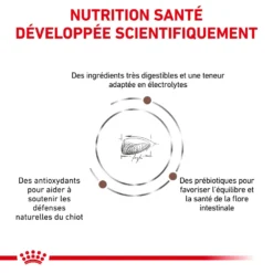 ROYAL CANIN Gastrointestinal Puppy 2,5kg 11 ROYAL CANIN Gastrointestinal Puppy 2,5kg -Zooart Elegant Boutique fre pl ROYAL CANIN Gastrointestinal Puppy 2 5kg 16002 7
