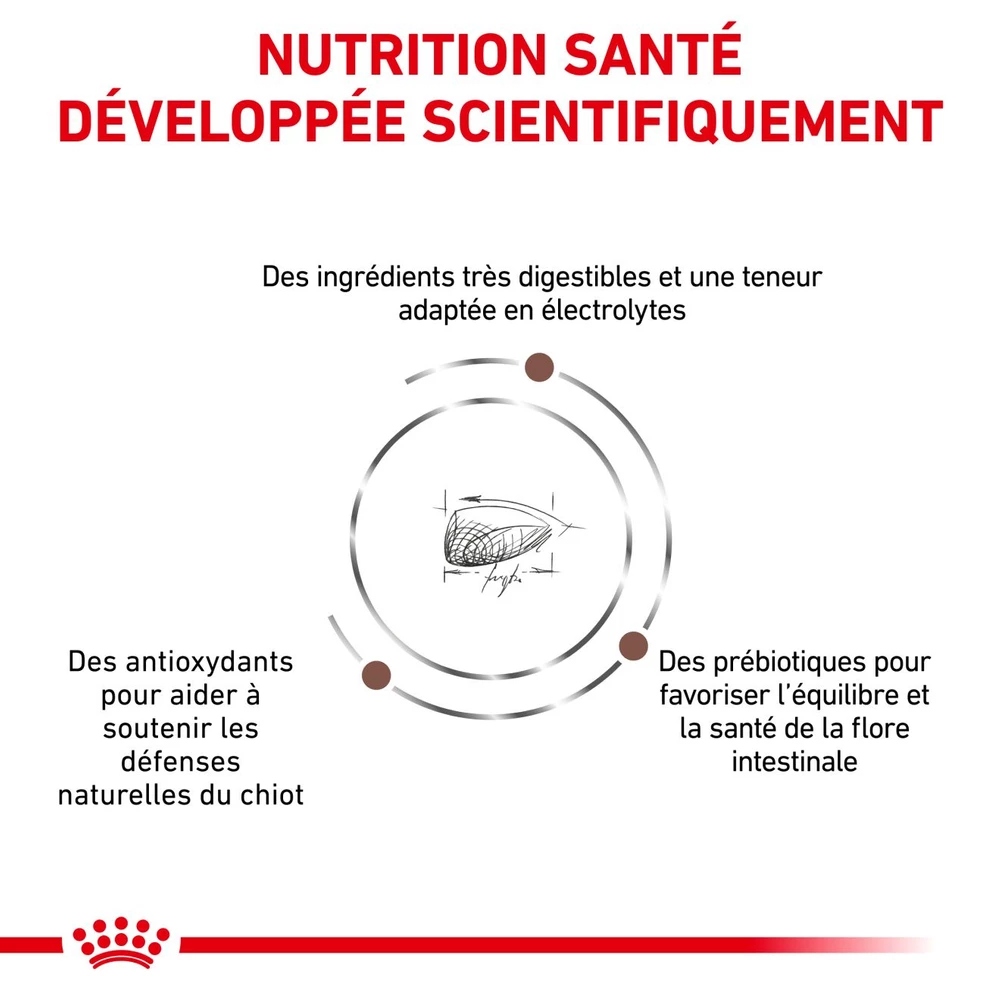 ROYAL CANIN Gastrointestinal Puppy 2,5kg 6 ROYAL CANIN Gastrointestinal Puppy 2,5kg – Image 6
