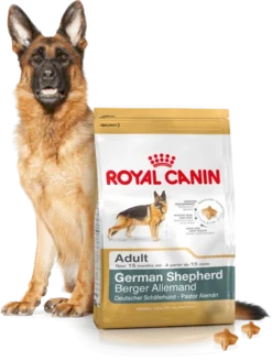 ROYAL CANIN German Shepherd Adult 11kg + Surprise Pour Votre Chien GRATUITES ! -Zooart Elegant Boutique fre pl ROYAL CANIN German Shepherd Adult 11kg surprise pour votre chien GRATUITES 17883 5