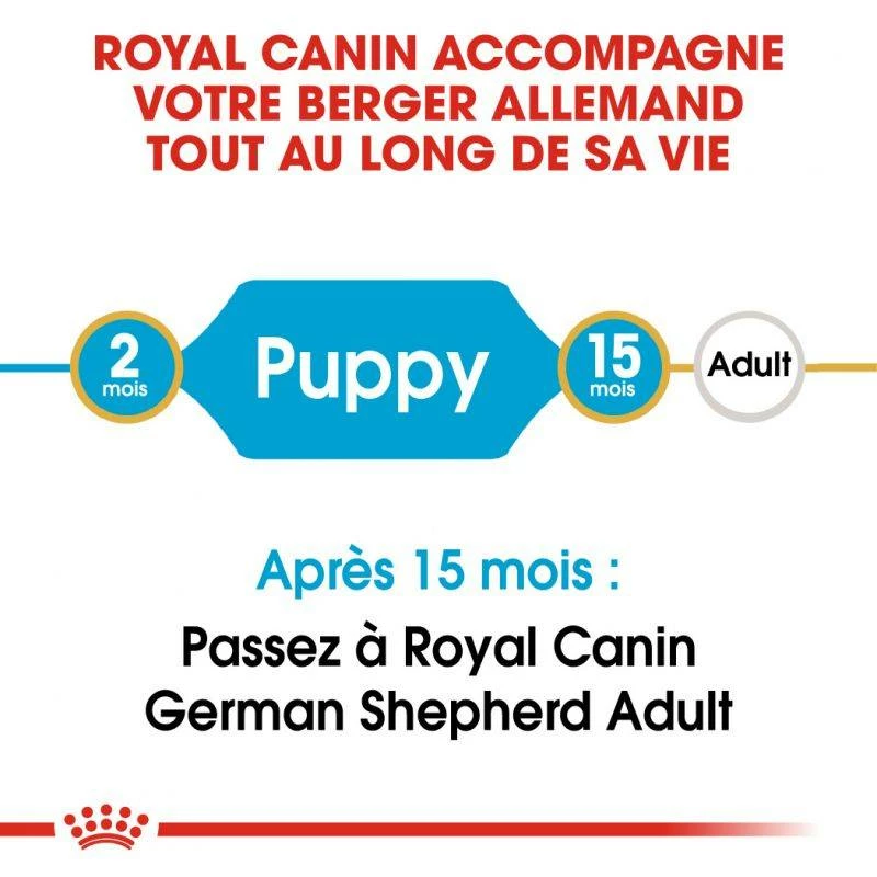 ROYAL CANIN German Shepherd Puppy 3kg 4 ROYAL CANIN German Shepherd Puppy 3kg – Image 4