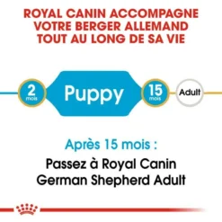 ROYAL CANIN German Shepherd Puppy 3kg X2 9 ROYAL CANIN German Shepherd Puppy 3kg X2 -Zooart Elegant Boutique fre pl ROYAL CANIN German Shepherd Puppy 3kg x2 30765 2