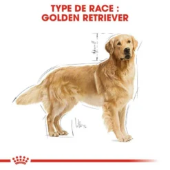 ROYAL CANIN Golden Retriever Adult 12kg 8 ROYAL CANIN Golden Retriever Adult 12kg -Zooart Elegant Boutique fre pl ROYAL CANIN Golden Retriever Adult 12kg 16018 3