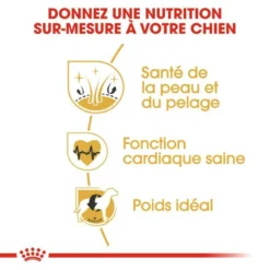 ROYAL CANIN Golden Retriever Adult 12kg 10 ROYAL CANIN Golden Retriever Adult 12kg -Zooart Elegant Boutique fre pl ROYAL CANIN Golden Retriever Adult 12kg 16018 5