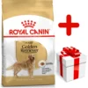 ROYAL CANIN Golden Retriever Adult 12kg + Surprise Pour Votre Chien GRATUITES !